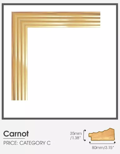 Carnot category C golden frame.