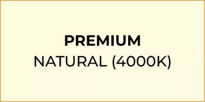Premium LEDs Natural Light icon.