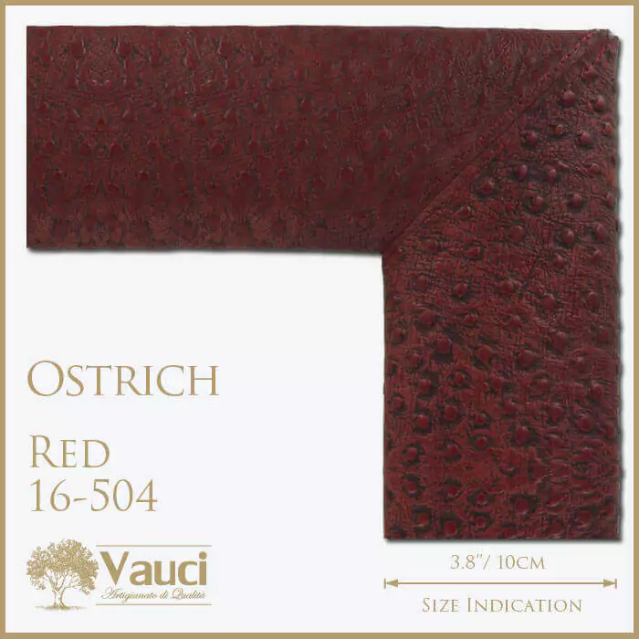 Ostrich red vauci frame.